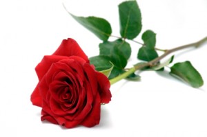 St. Valentine Un despertar romántico para Valentín y Valentina 2