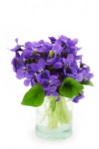 The Violet Un horóscopo floral 2
